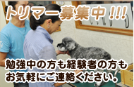 トリマー募集中!!!