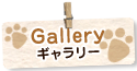 ギャラリー
