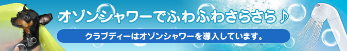 オゾンシャワーでふわふわさらさら♪